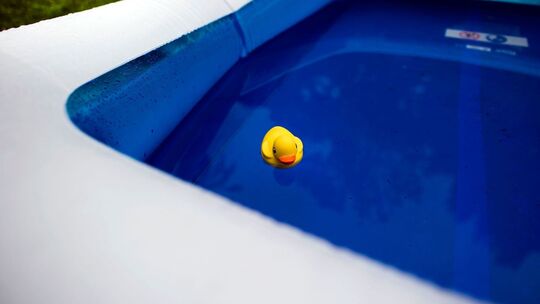 Eine gelbe Plastik-Ente schwimmt in einem Pool
