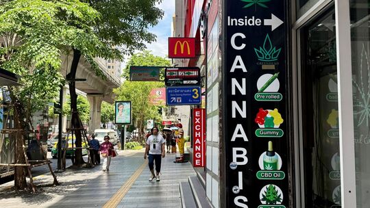 Cannabis in Thailand