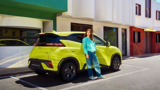 BYD Dolphin Surf