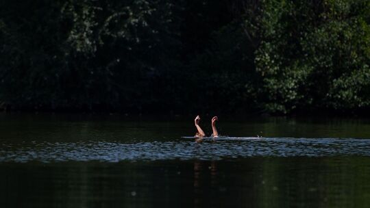 Eine Schwimmerin streckt die Hände aus dem Wasser