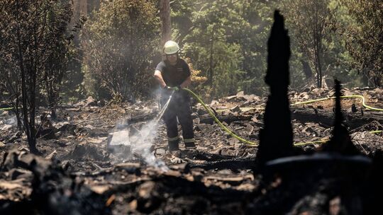 Löscharbeiten nach Waldbrand im Taunus