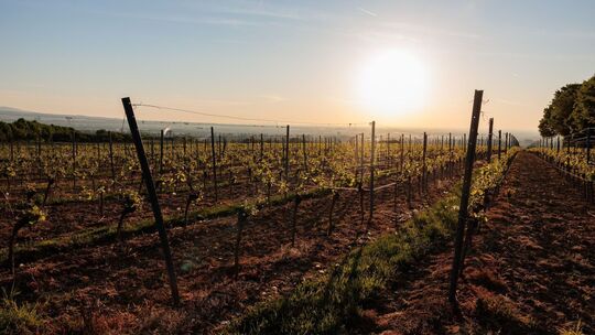 Sonne in Rheinland-Pfalz