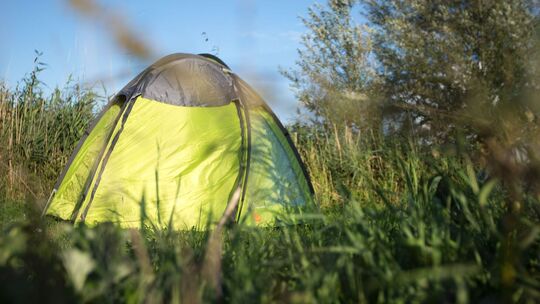 Wildcampen