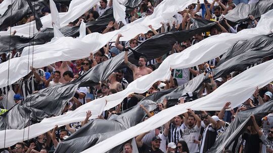 Palmeiras - Botafogo