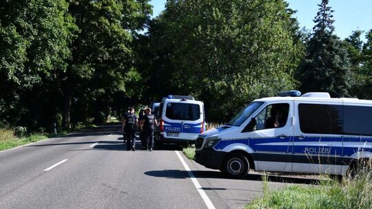 Großeinsatz in drei Bundesländern gegen illegalen Cannabisanbau