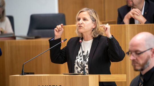 Landtag Rheinland-Pfalz
