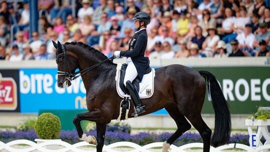 CHIO Aachen