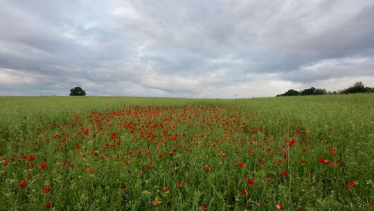 Wetter in Baden-Württemberg