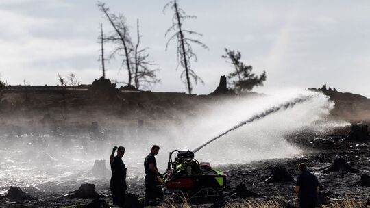 Waldbrand in Thüringen - Saalfelder Höhe Waldbrand in Thüringen - Saalfelder Höhe