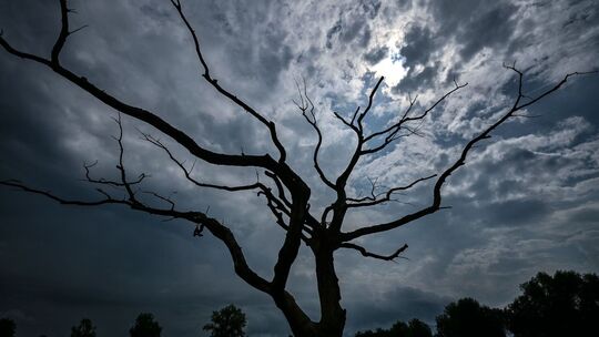 Wechselhaftes Wetter