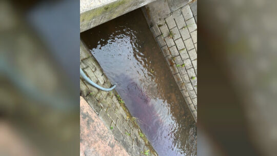 Wein in Bach abgelassen