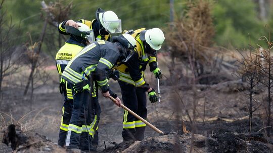 Waldbrand in Thüringen - Saalfelder Höhe