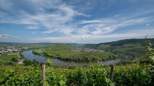Weinbauregion Mosel