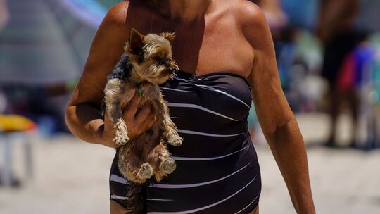Eine Frau trägt ihren Hund am Strand in den Armen