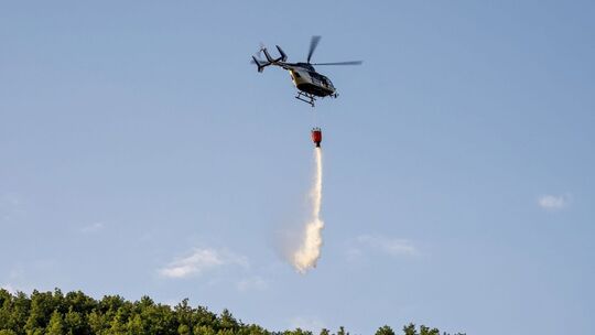 Weinberg in Brand