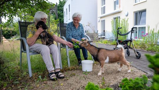 Tiere im Seniorenheim