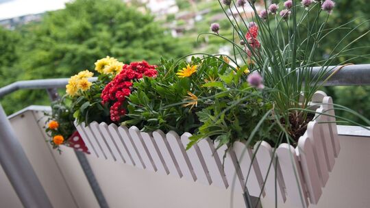 Blumenkasten auf dem Balkon