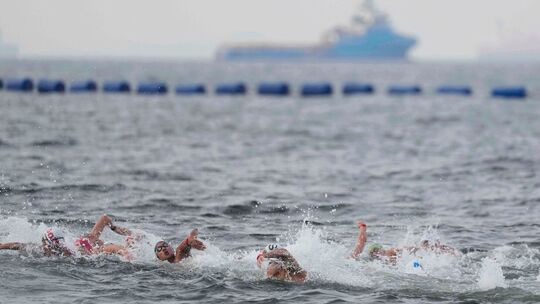 Schwimm-WM in Singapur - Freiwasser Schwimmen