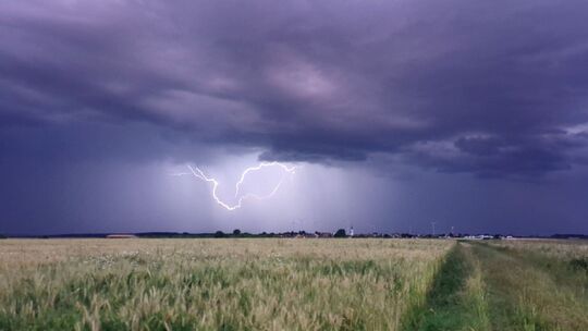 Wetter