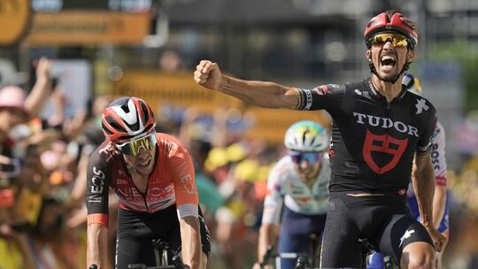 Tour de France - 15. Etappe