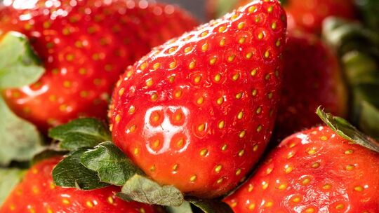 Frische Erdbeeren