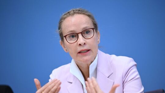 Frauke Brosius-Gersdorf
