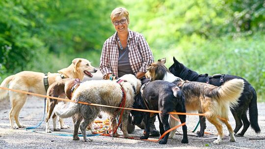 Hundesitter wie Reddmann boomen auch in Rheinland-Pfalz.