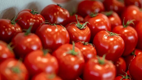 Messe - Fruit Logistica