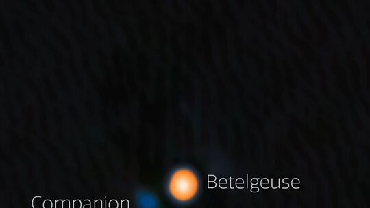 Wahrscheinlich Begleitstern von Beteigeuze entdeckt
