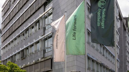 Boehringer Ingelheim Vorsitzender Schoenmaeckers im Interview