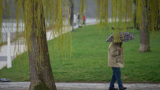 Ein Mann spaziert bei Regen durch die Koblenzer Rheinanlagen