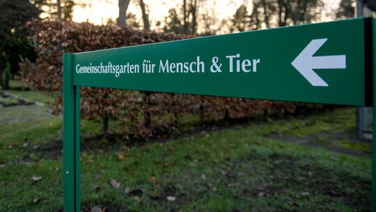 In Ohlsdorf sind gemeinsame Beisetzungen schon seit 2020 möglich.