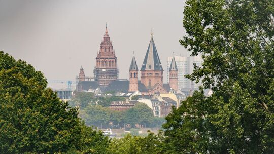 Mainzer Dom