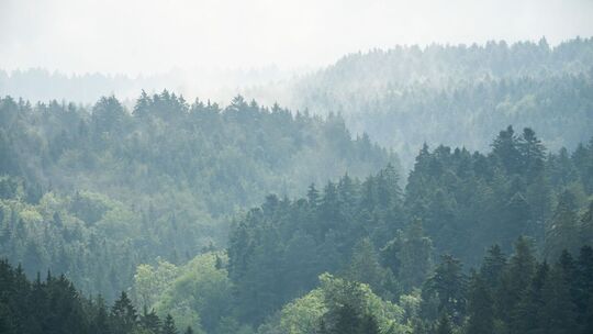 Wetter in Baden-Württemberg