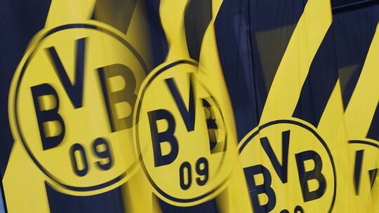 BVB geht juristisch gegen Wahlwerbung der AfD vor