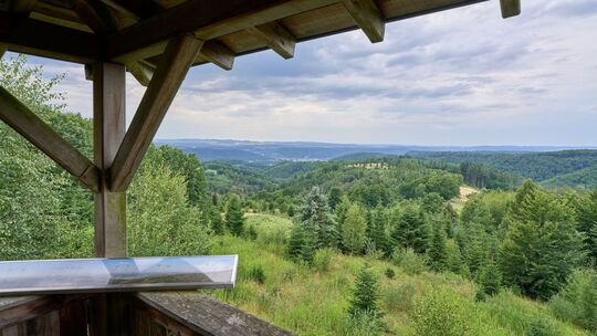 Limes in Rheinland-Pfalz