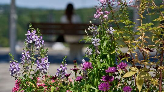 Sommer kehrt nach Rheinland-Pfalz zurück