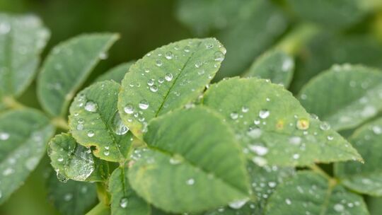 Wetter in Baden-Württemberg
