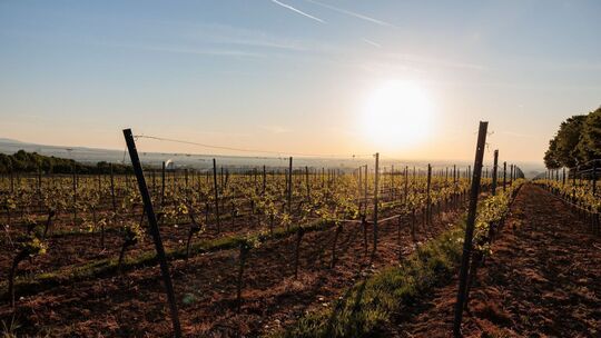 Sonne in Rheinland-Pfalz