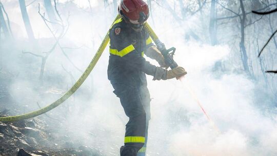Waldbrand in Südfrankreich