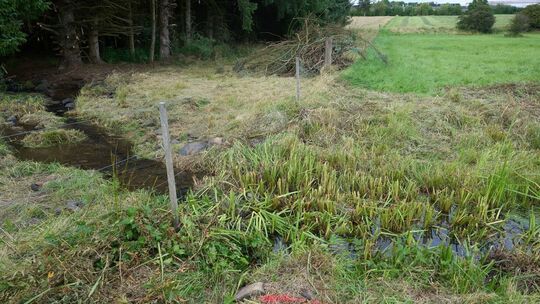Gesuchter Dreifachmörder im Westerwald ist tot