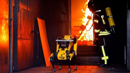 KI-Roboter soll Waldbrände löschen