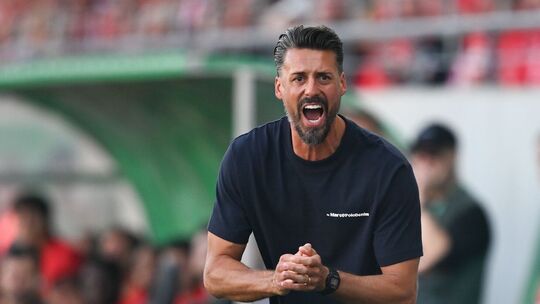 Hallescher FC - FC Augsburg