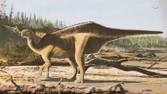 Dinosaurier mit Hautsegel entdeckt