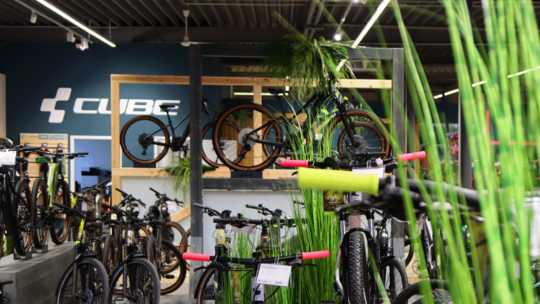 Blick in ein Fahrradgeschäft mit verschiedenen Mountainbikes auf Podesten und an der Wand.