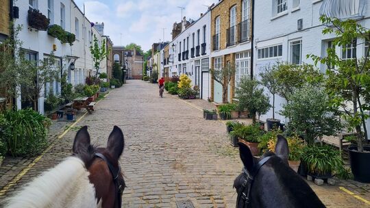 Mit dem Pferd durch die Hyde Park Gardens Mews