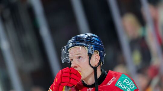 Düsseldorfer EG - Grizzlys Wolfsburg