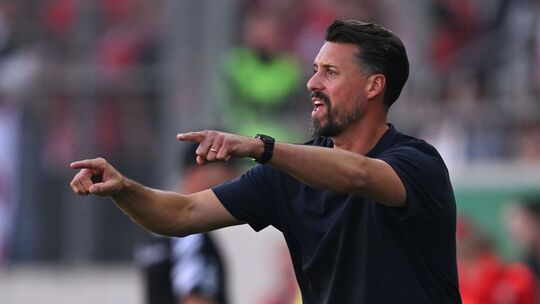Sandro Wagner