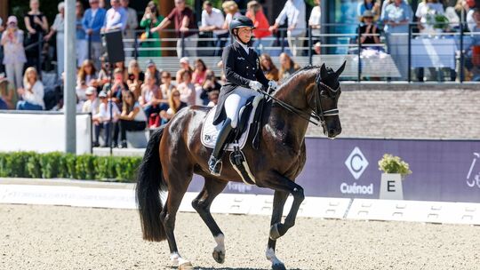 Pferdesport/Dressur: Europameisterschaft