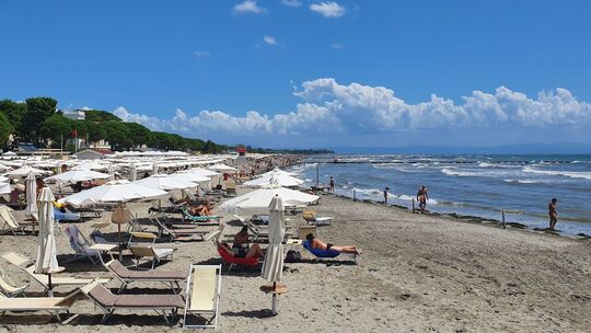 Grado